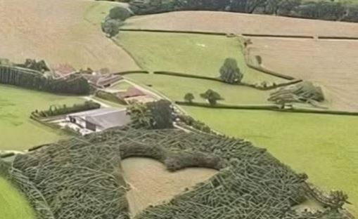 Farmer Plants 1000 Oak Trees