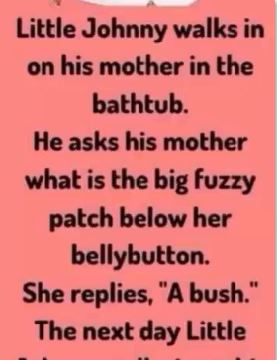 THE NIGHT LITTLE JOHNNY LEARNED TOO MUCH