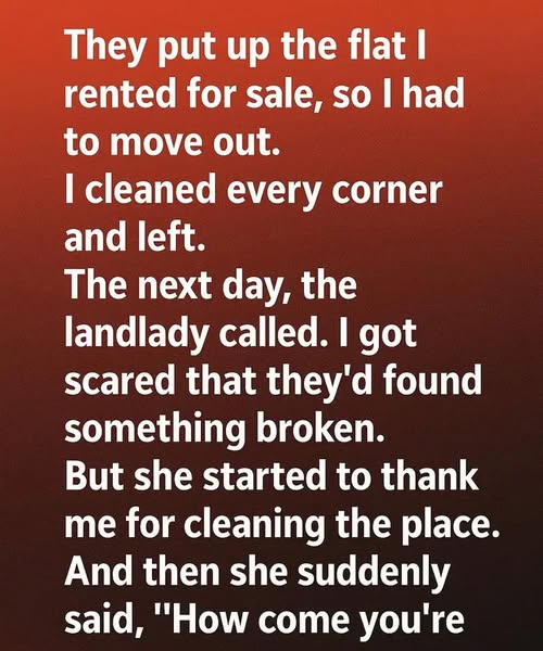 I Thought I Just Cleaned an Apartment — Turns Out I Did Much More