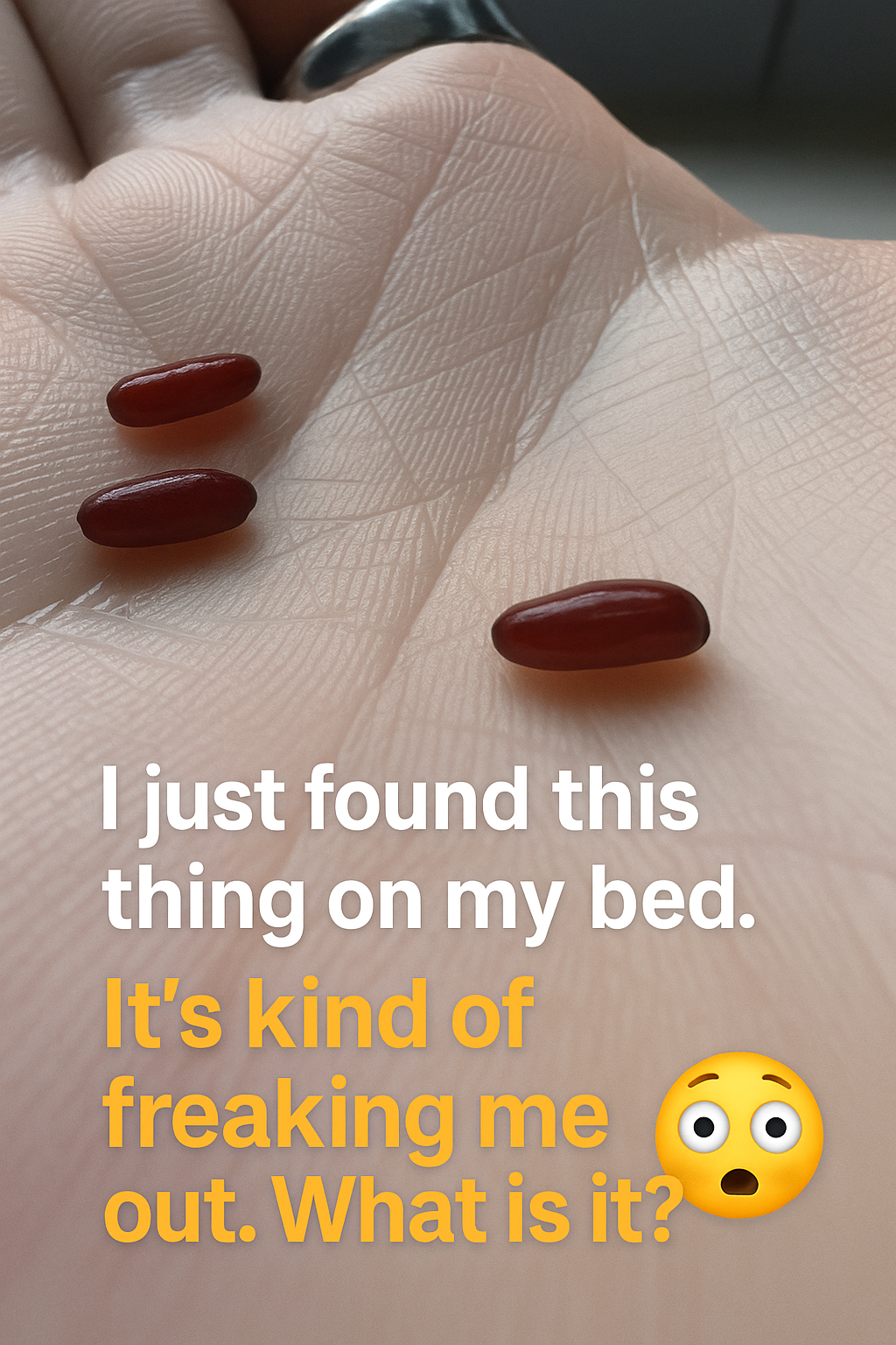 A Family’s Plea After a Sudden and Devastating Tick-Borne Illness