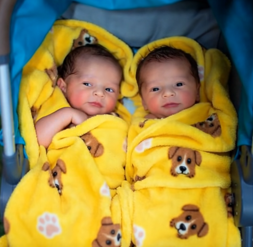 Teen Brings Home a Baby After a Heartbreaking Call — What His Mom Did Next Changed Their Family Forever