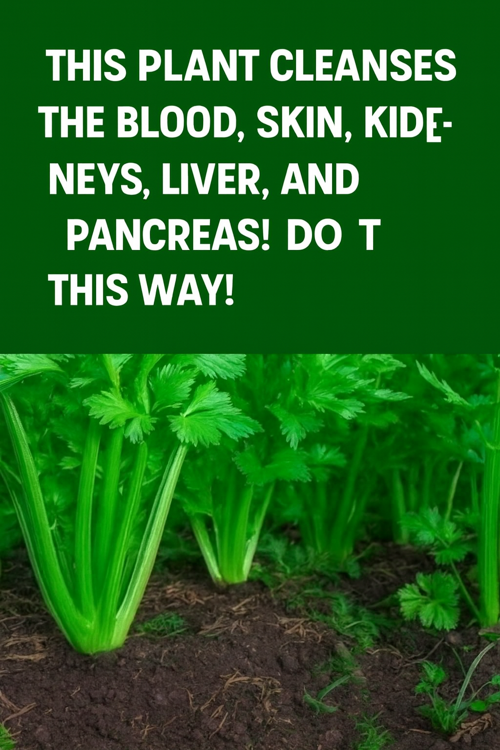 A Simple Plant With Big Benefits — For Your Brain and Digestion