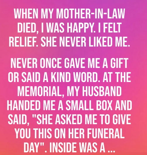 She Was Gone Overnight — But What She Left for Me Changed Everything