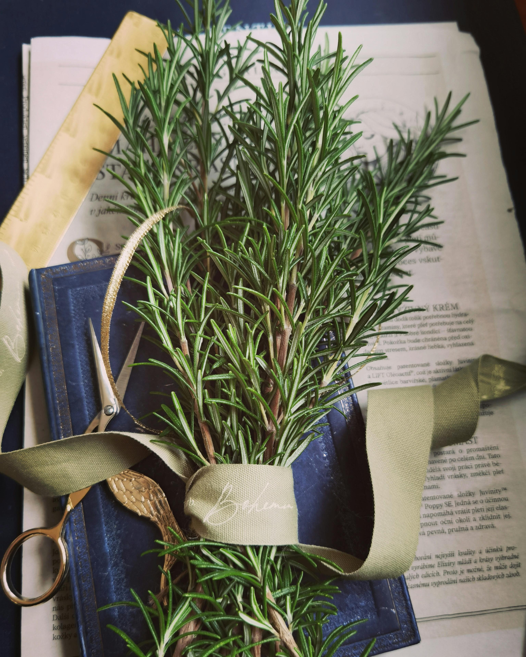 A Simple Plant With Big Benefits: Nature’s Secret for Healthier Aging