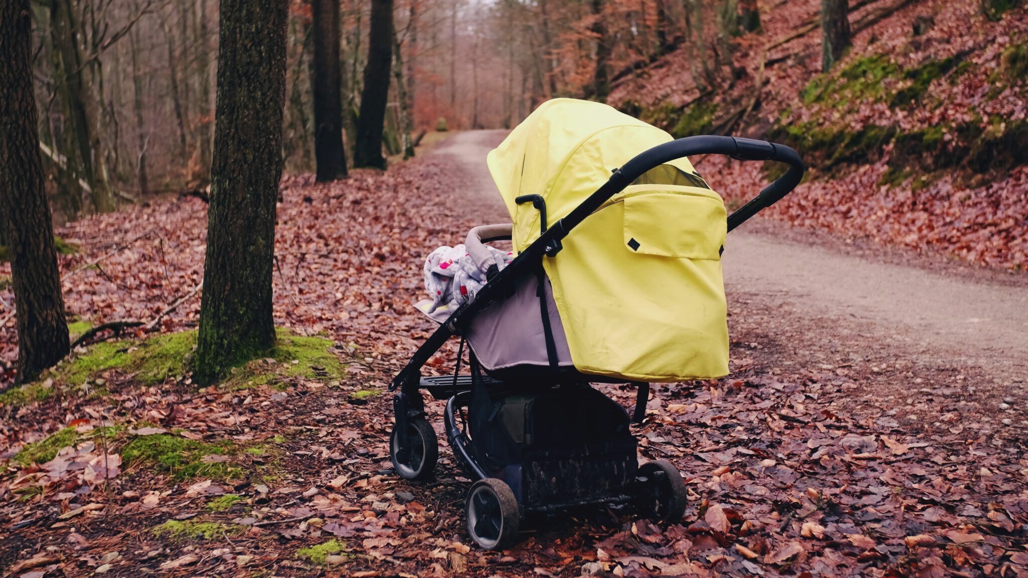 Think About This Before You Stop for an Abandoned Stroller