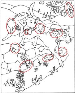 How Many Can You Spot? Heart, Rabbit, Drumstick & Fish