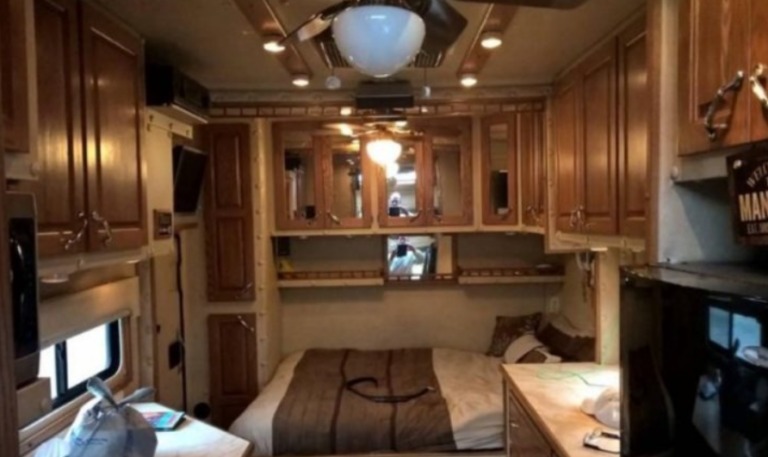 How Simple Beginnings Led to a Life in a Quiet Forest