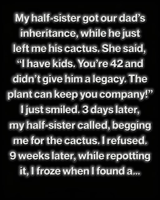 It Was a Small Inheritance — But What It Meant Was Priceless