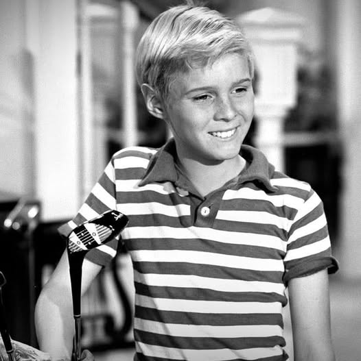 Dennis the Menace Star Passes Away at 73