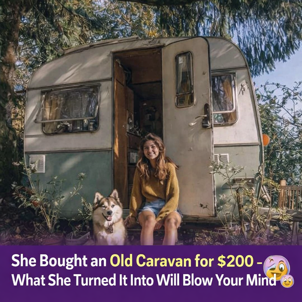She Paid Only $200 for an Old Caravan — Then Everything Changed