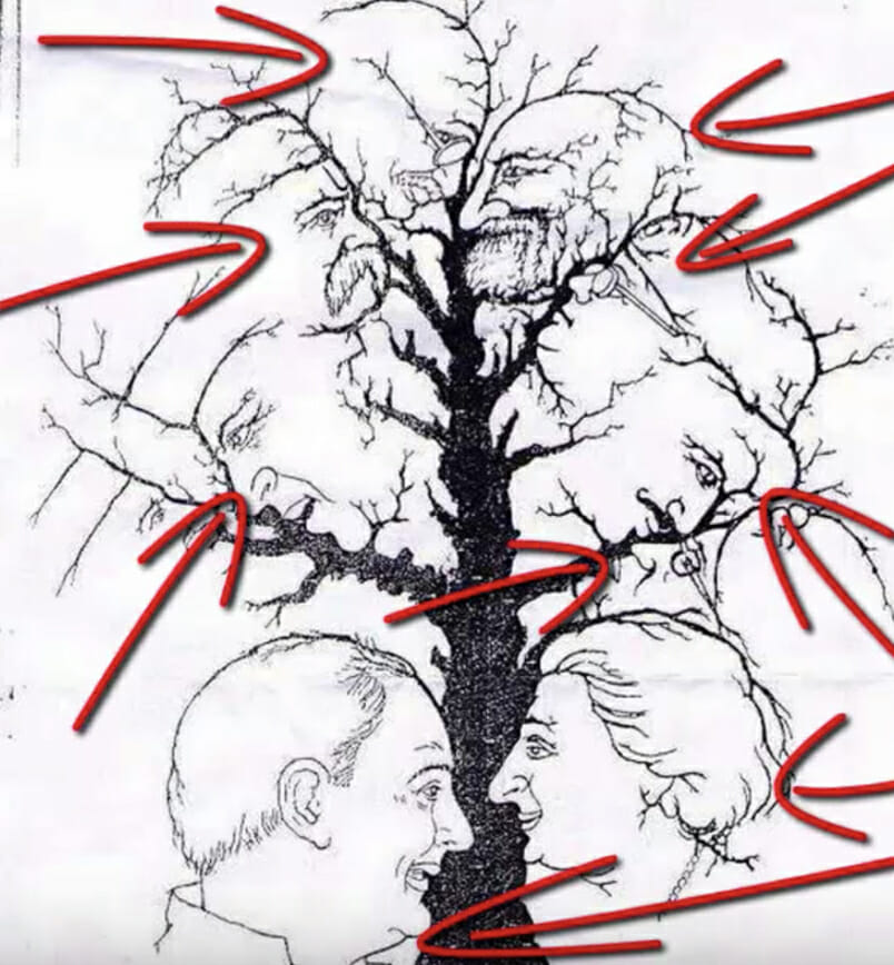 Look Closely: Very Few People Can Find All the Faces Hidden in This Tree
