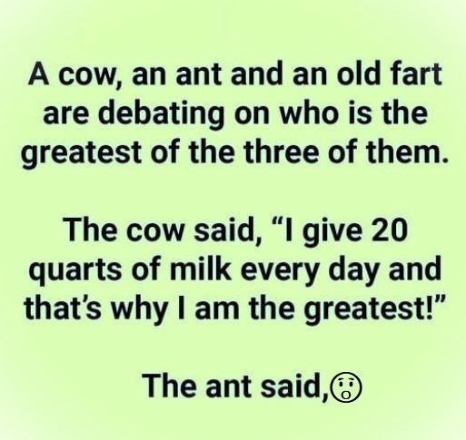 The Cowboy Who Recently Made Wyoming His Home