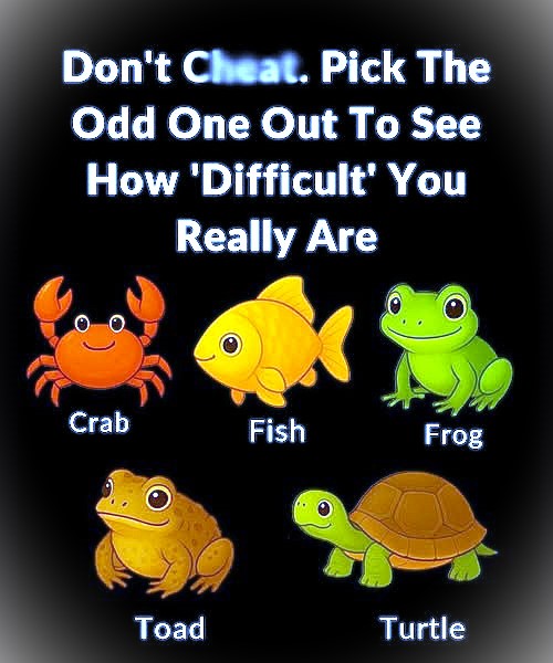 Pick the Odd One Out — What You Choose Says More Than You Think!