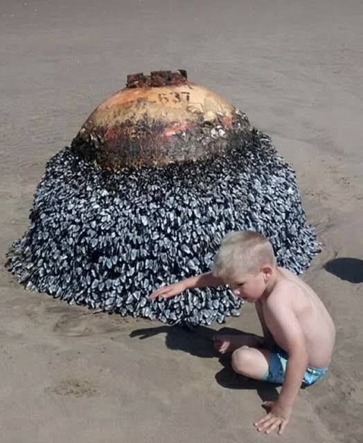 Dad Posts Beach Photo of His Son — One Small Detail Prompts Swift Action