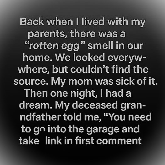 This Dream Revealed the Truth Behind Our Household Mystery