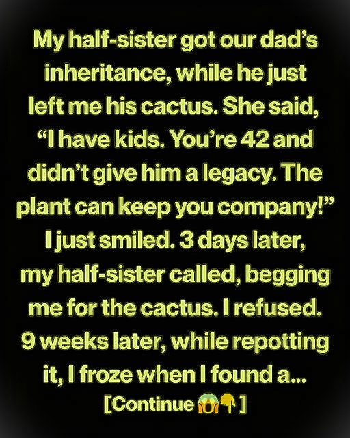 The Only Thing My Father Gave Me Was a Plant… But It Meant Everything