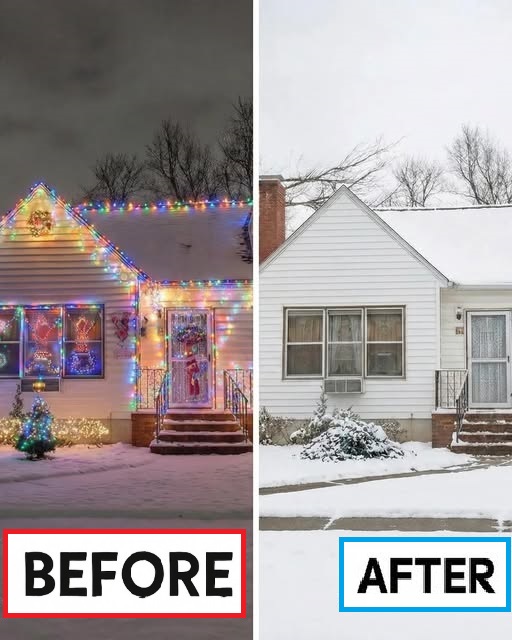Why My Neighbor Took Down My Holiday Décor — The Truth Came Out Later