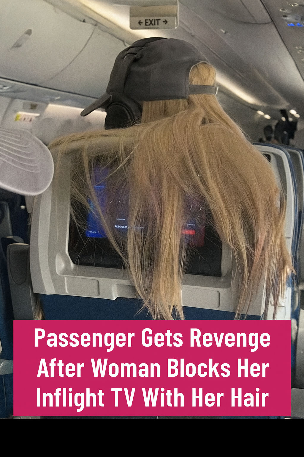 Passenger’s Revenge After Her TV Was Blocked by Someone’s Hair
