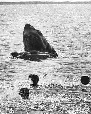 What Really Happened With the Deleted Scene From Jaws