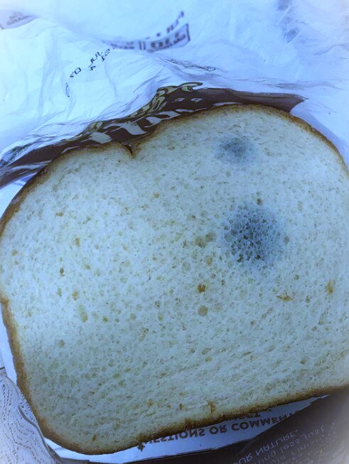 Don’t Toss It Yet! Is Stale Bread Actually Safe to Eat?