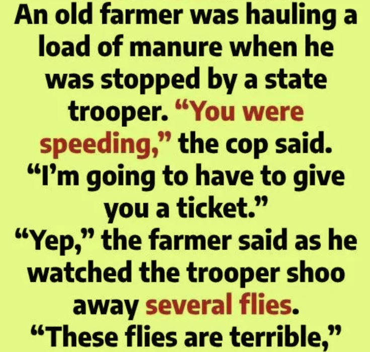 Why Flies Kept Circling an Old Farmer