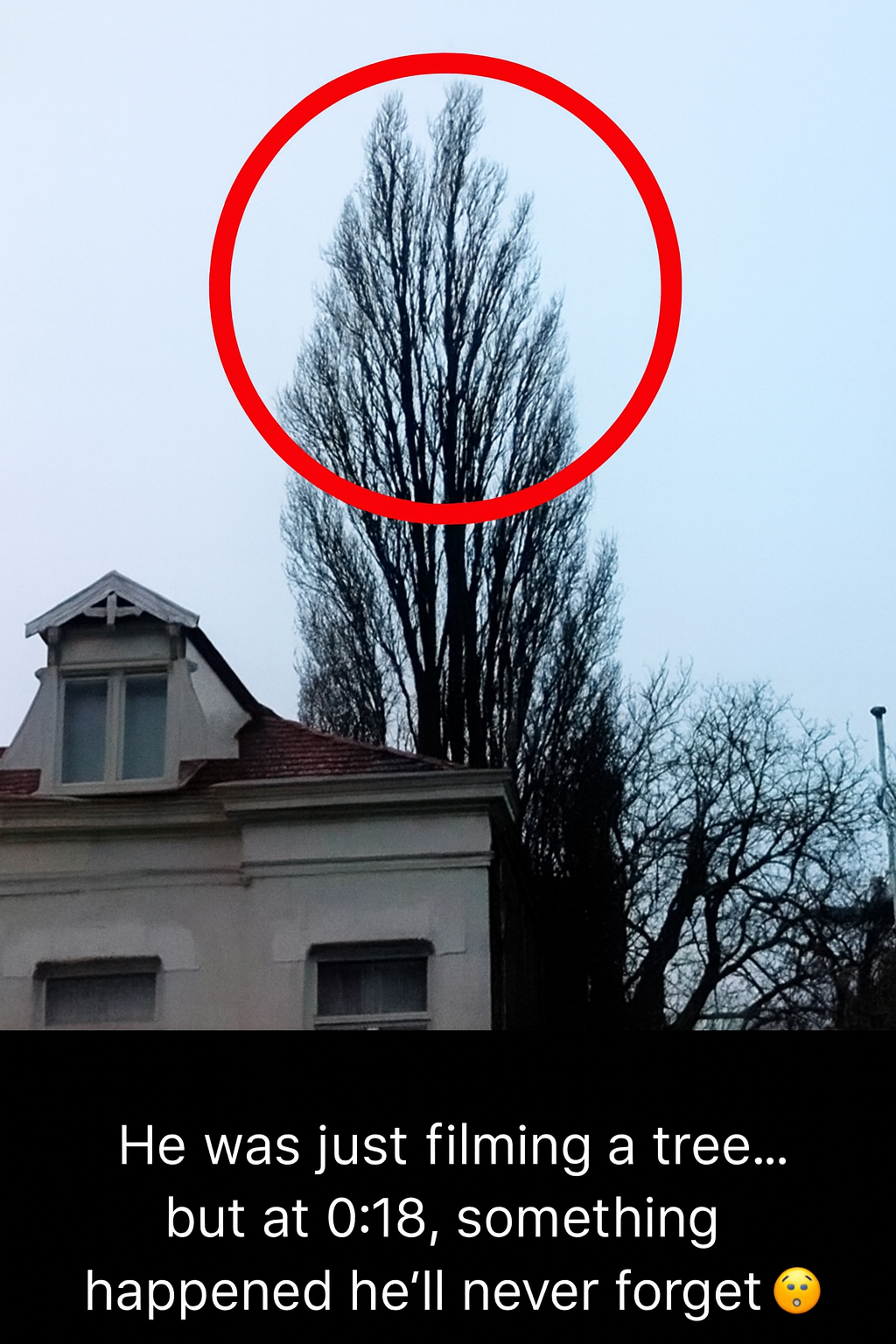 He was just filming his backyard… then something unexpected happened