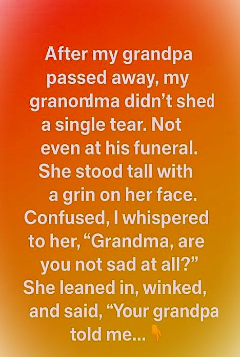 Behind Her Smile: A Grandma’s Secret Strength After Loss