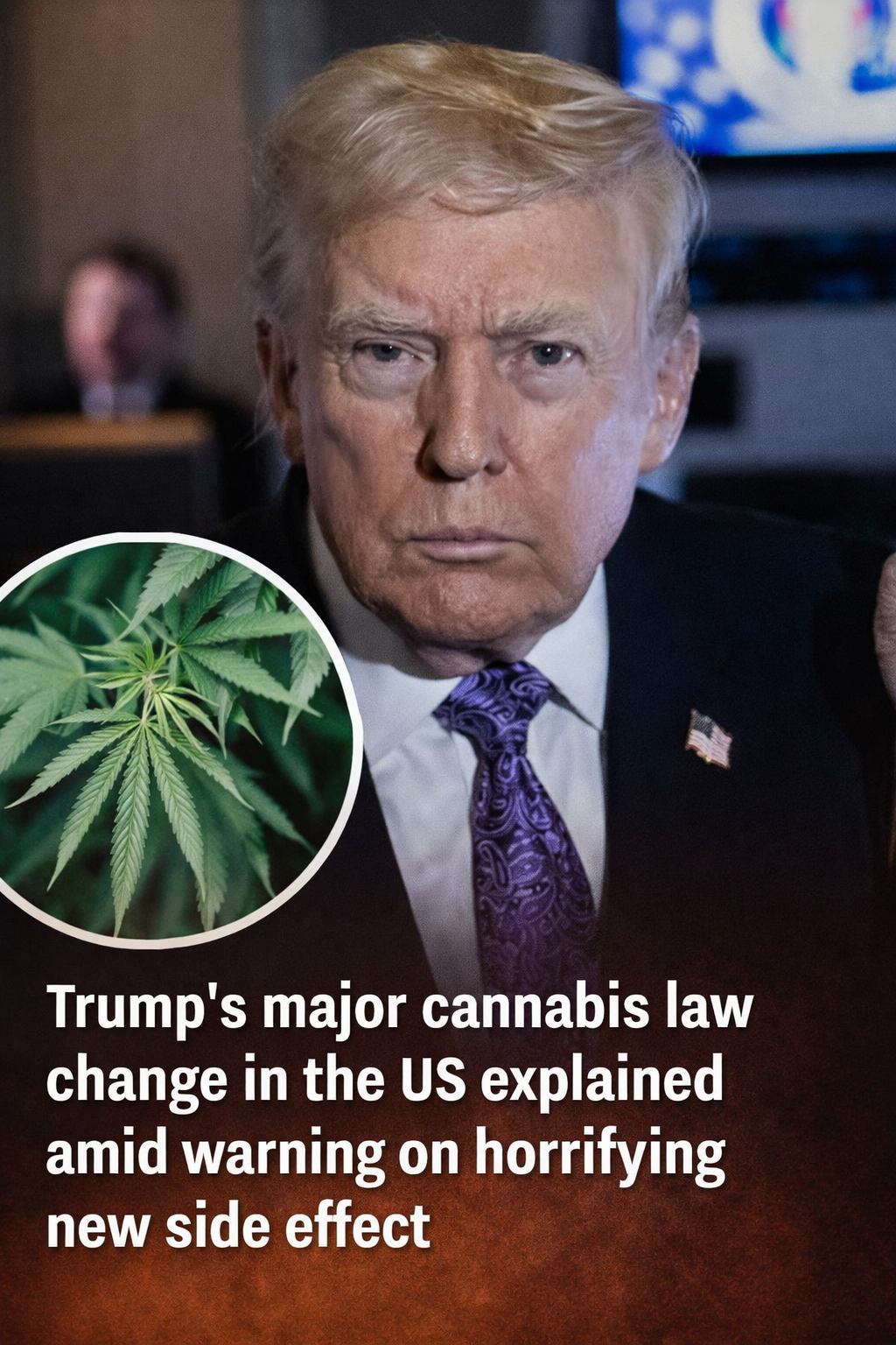 Trump’s Significant Cannabis Policy Shift Revealed