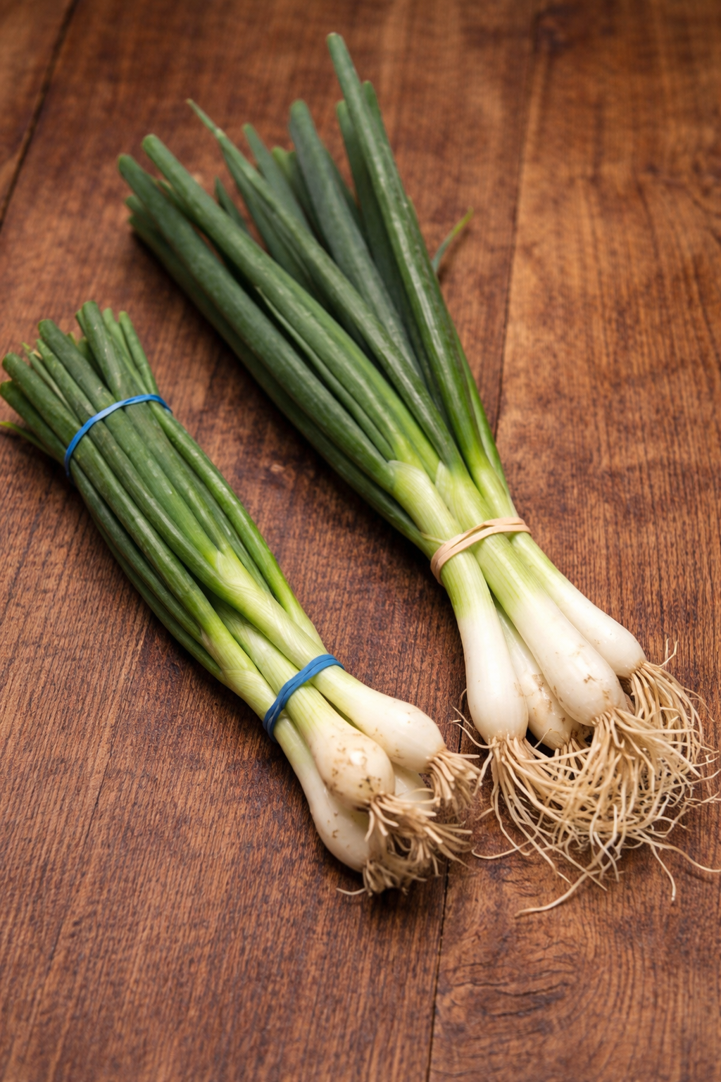 The Difference Between Scallions, Green Onions, Spring Onions, and Chives