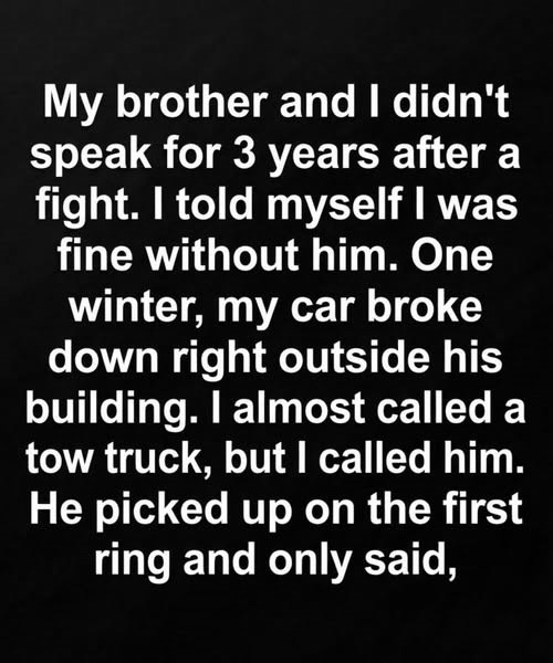 We Didn’t Speak for Years—Then This Night Happened