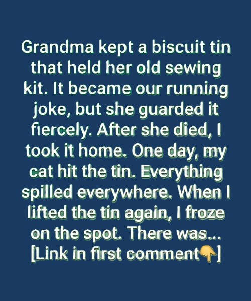 The Old Biscuit Tin in My Grandmother’s Kitchen Told a Hidden Story