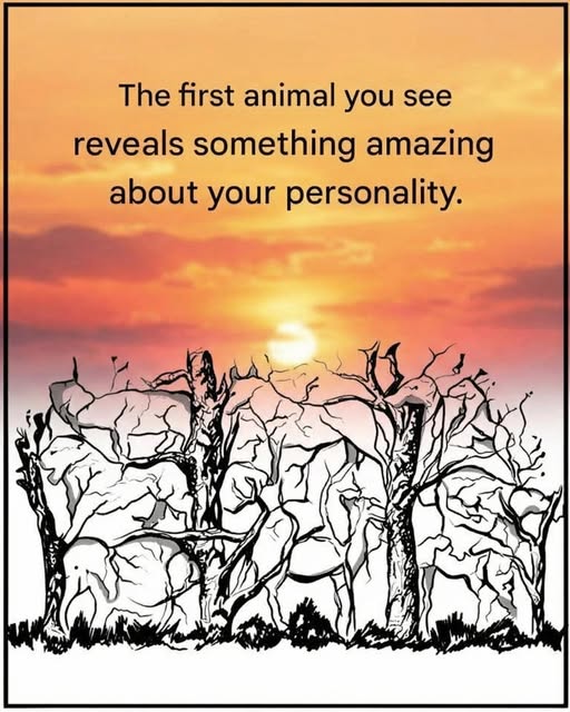 A Thought-Provoking Image That Inspires Self-Reflection